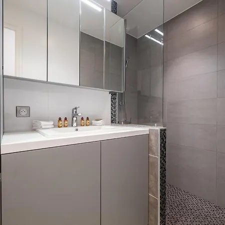 Le Coq Symphonie - Parking - Ac - Wifi *