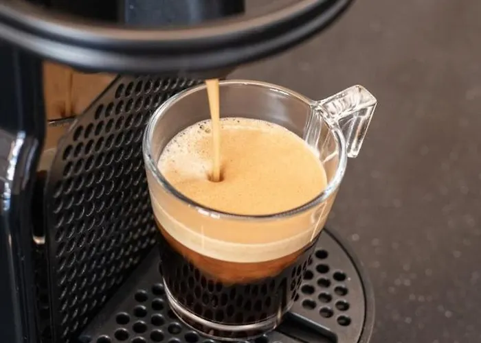 Le Coq Symphonie - Parking - Ac - Wifi